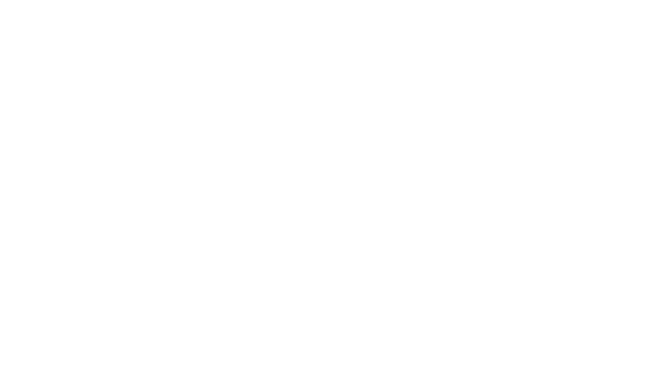 Brownsville/South Padre Island International Airport (BRO) logo