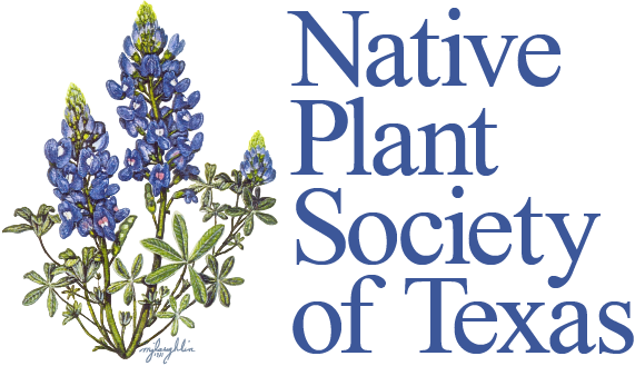 Rio Grande Valley - Native Plant Society of Texas logo