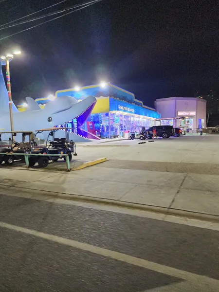 The Dolphin Island souvenir store lit up at night, with big dolphin statues out front and golf carts at the curb.
