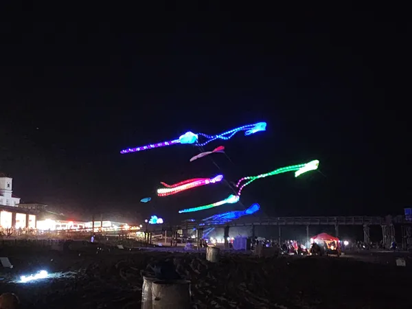 Long LED kites glowing pink, blue and green over a dark beach, with lights along the shore behind.