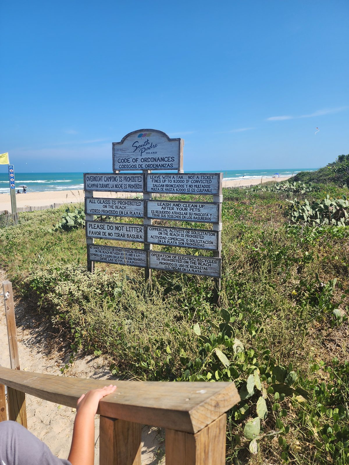 Bilingual Code of Ordinances sign listing beach rules in dune vegetation behind a wooden railing, with a hand on the rail and the Gulf beach to the left.