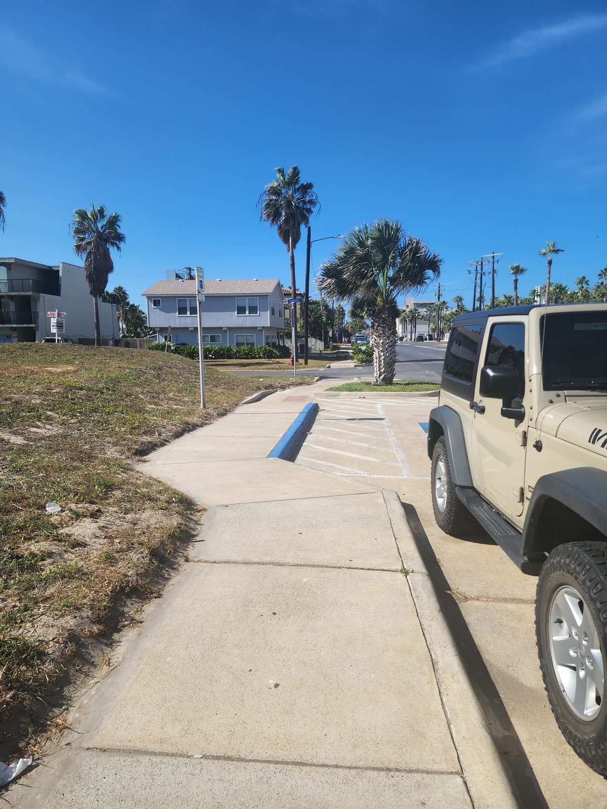 A tan SUV parked in a marked space beside a blue-painted curb and white-hatched accessible aisle, with a wide sidewalk, palms and houses beyond.