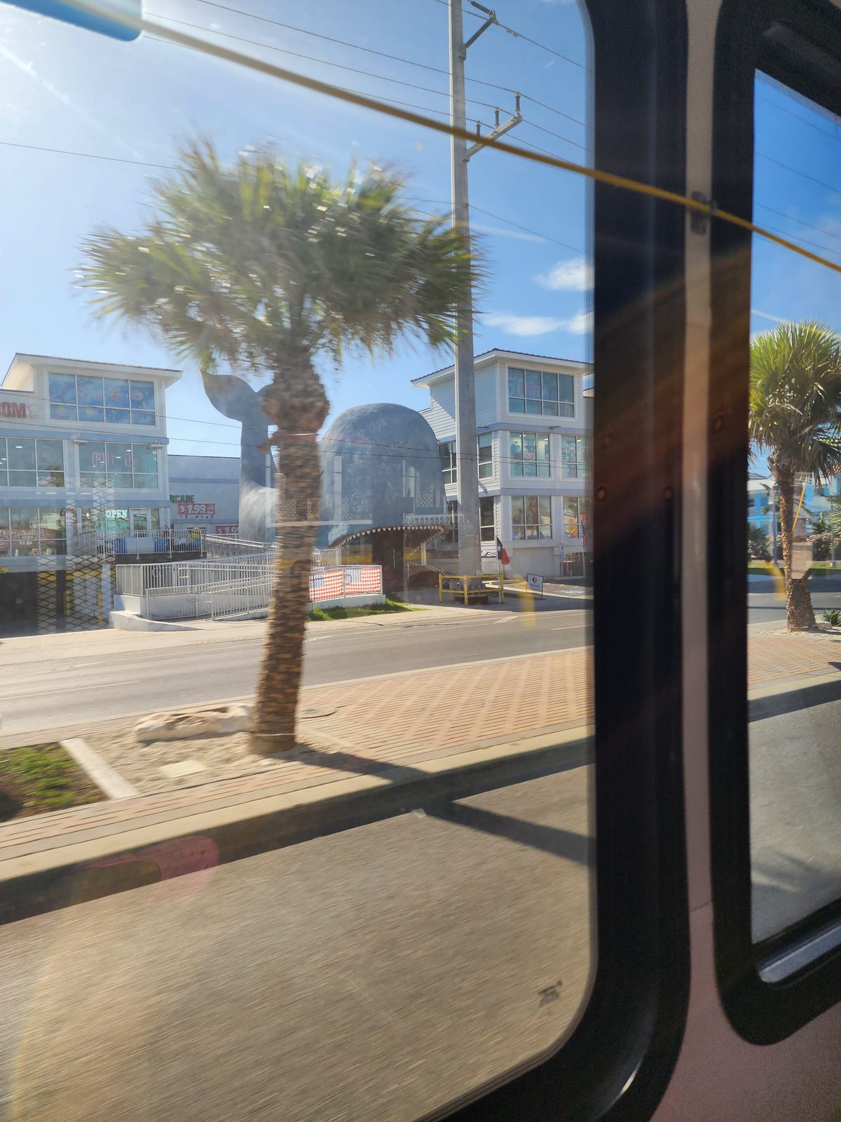 A whale-shaped building with an open-mouth entrance sits beside a shop with an OPEN sign and arcade, seen through a bus window.