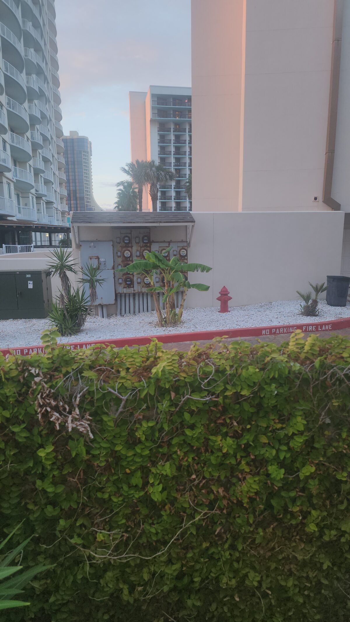 A trimmed hedge and red fire-lane curb front a gravel bed with a fire hydrant, banana plants and a bank of electric meters below high-rise buildings at dusk.