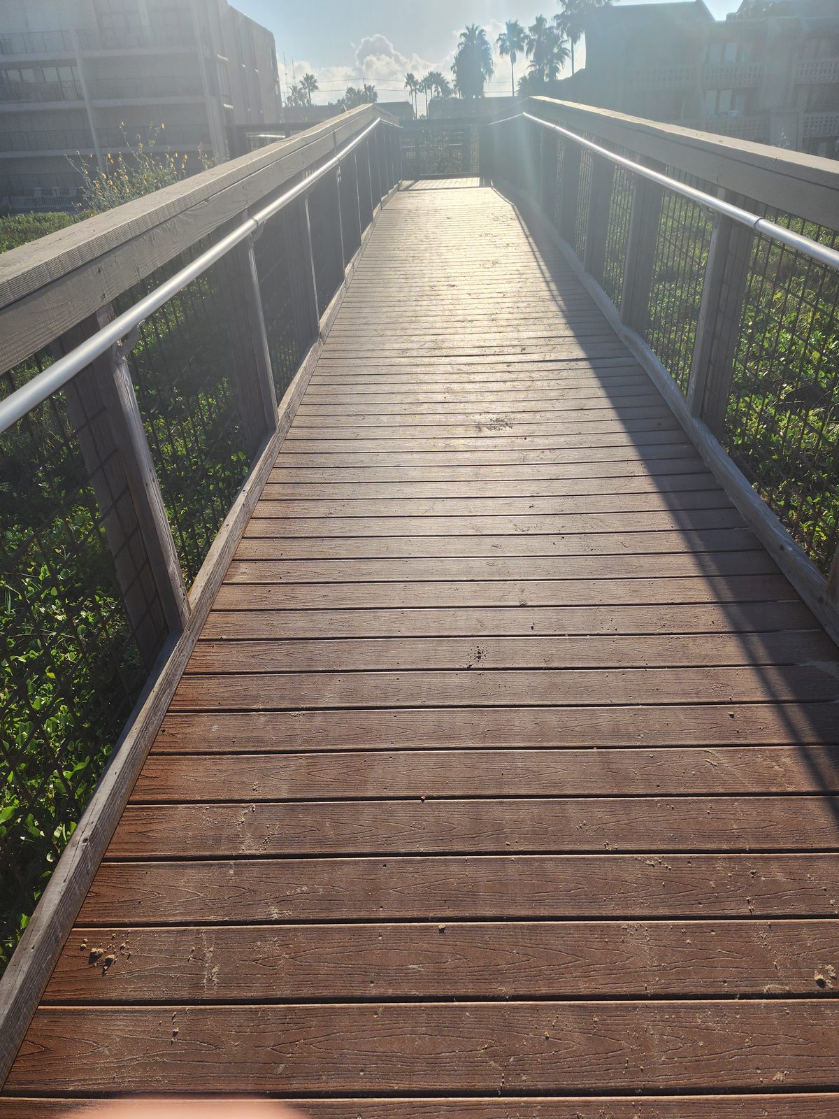A railed boardwalk with wire-mesh panels crosses dune vegetation toward palm trees and multi-story buildings in bright, hazy sunlight.