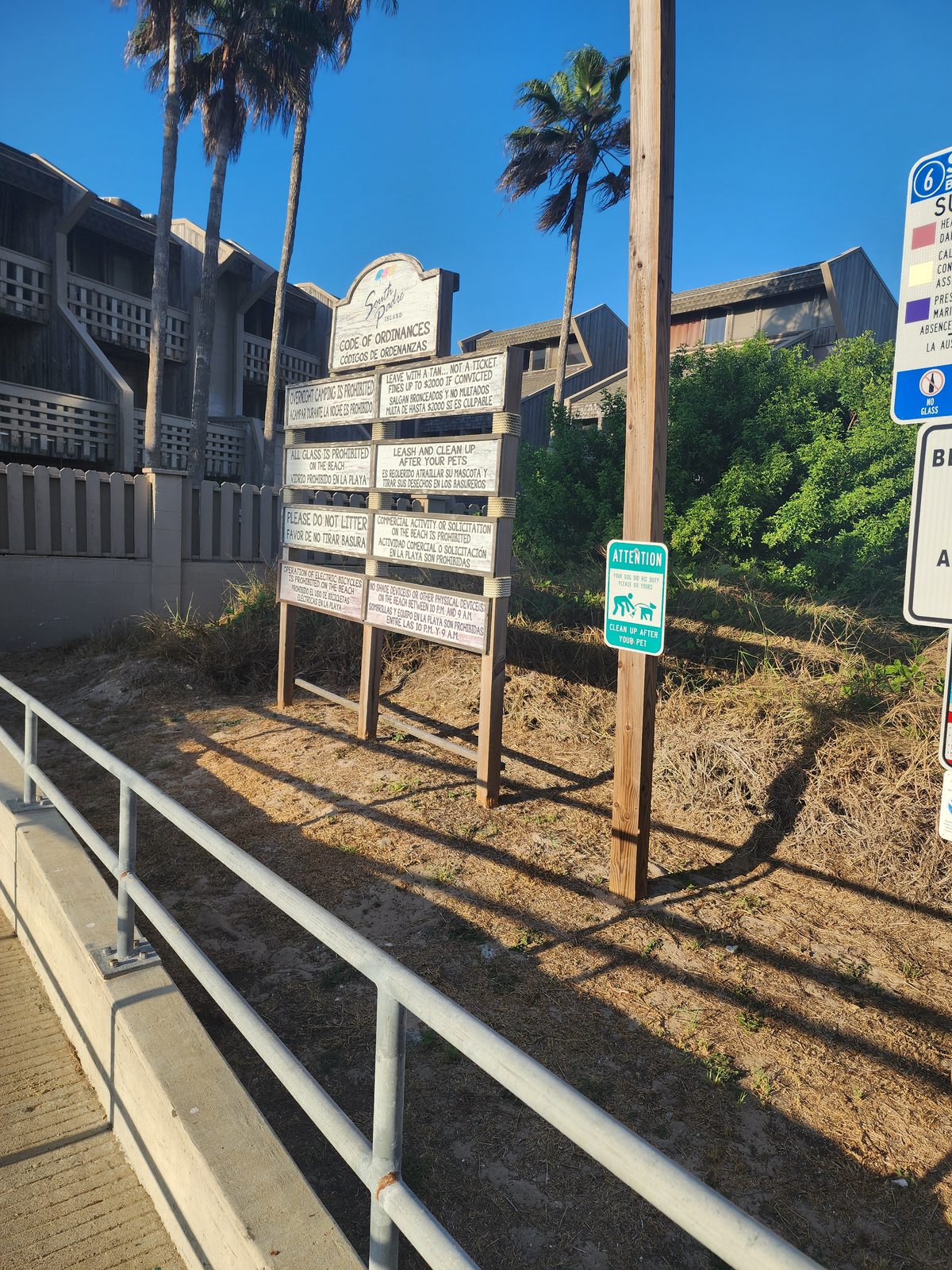 Wooden South Padre Island code-of-ordinances board with bilingual beach-rule panels beside a metal railing, dune grass and palm trees