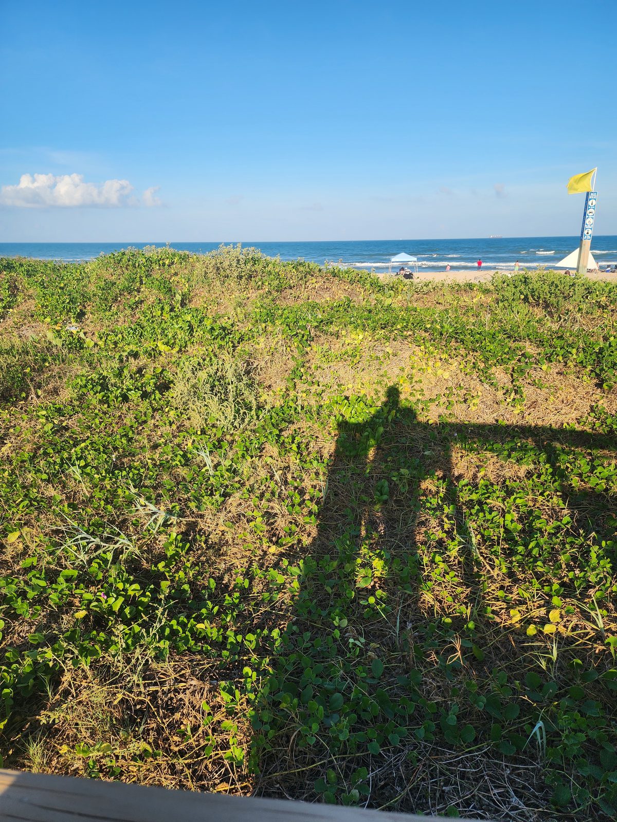 Vine-covered dunes with a long shadow across them, a yellow beach flag on a post at right, and a canopy, distant beachgoers and the blue Gulf beyond.