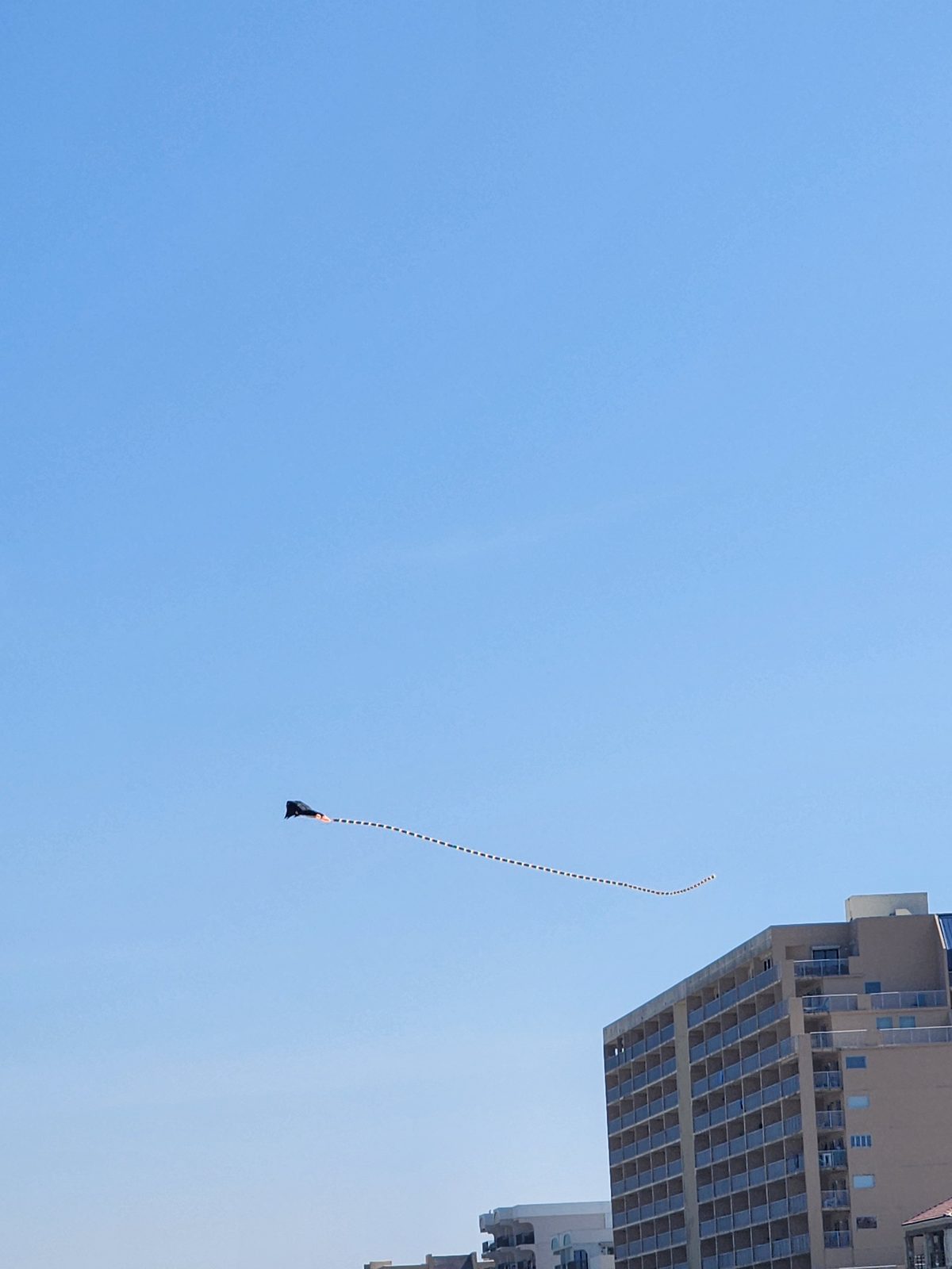 A dark kite with a long striped tail flies in a clear blue sky above the upper floors of a tall balconied building.