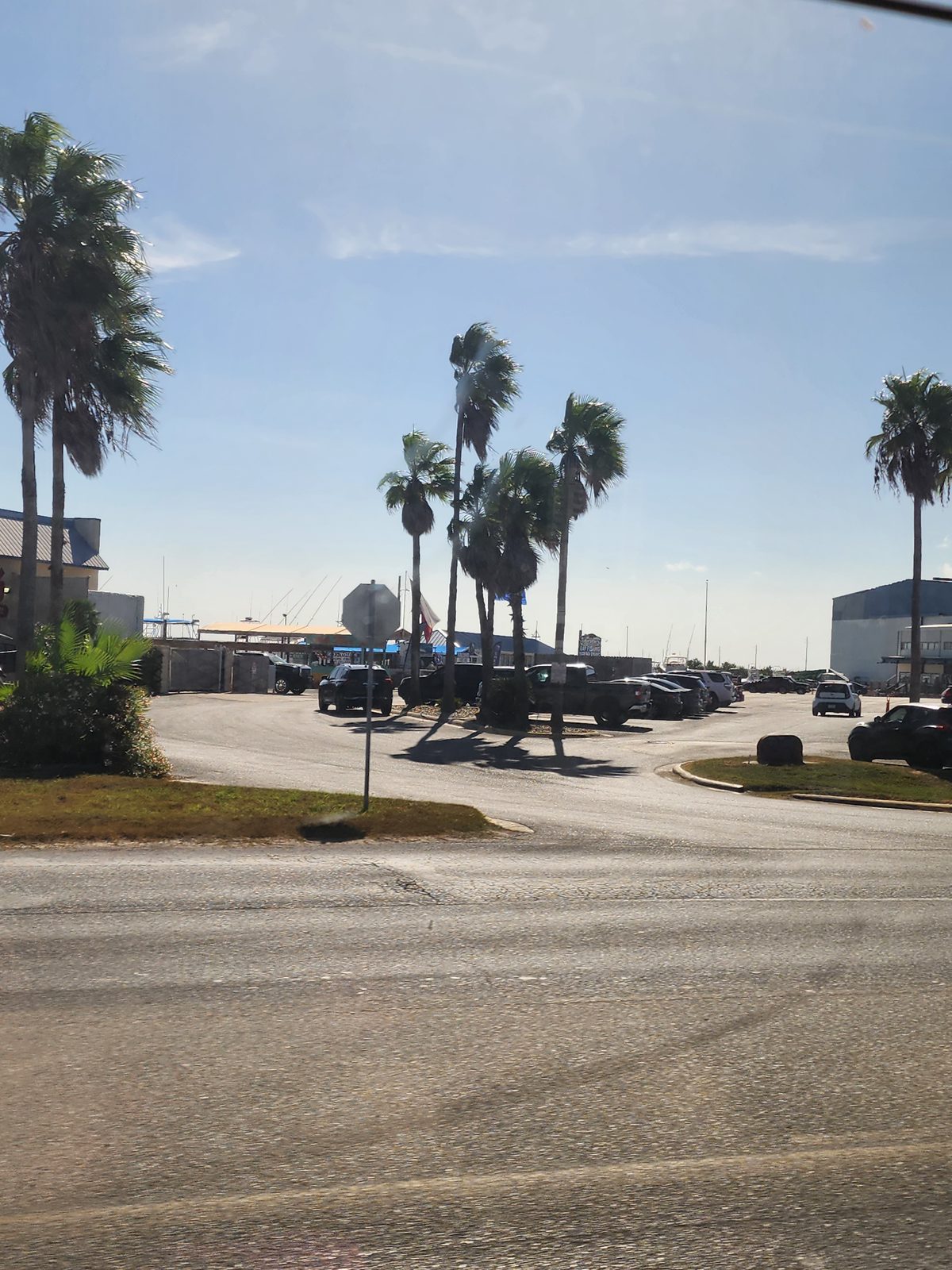 Tall palms cast long shadows over a parking lot of pickups and cars across a wide road, with boat rigging and buildings beyond.