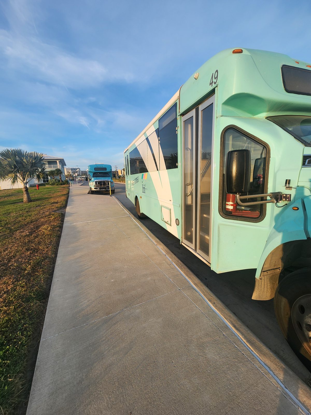 Two mint-green Island Metro buses, number 49 in front with FREE RIDES on its side, parked along a palm-lined street.