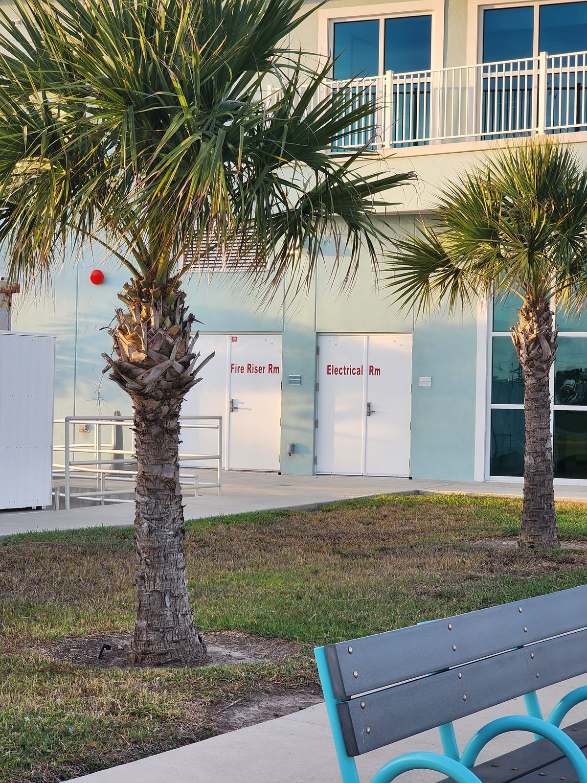 Two palm trees and a teal-and-grey bench in front of a pale green building with white doors labeled Fire Riser Rm and Electrical Rm.