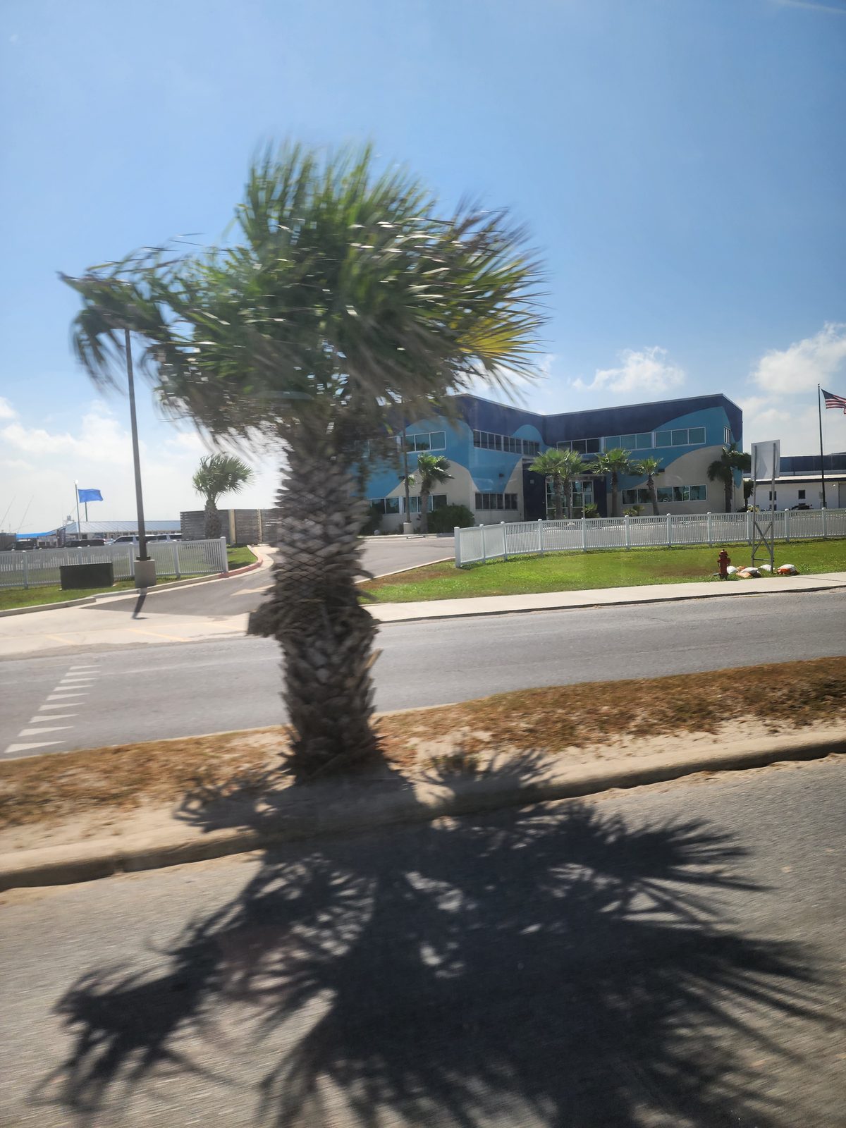 A palm at the roadside and, across the road, a two-story building painted with navy and light-blue waves behind a white picket fence.