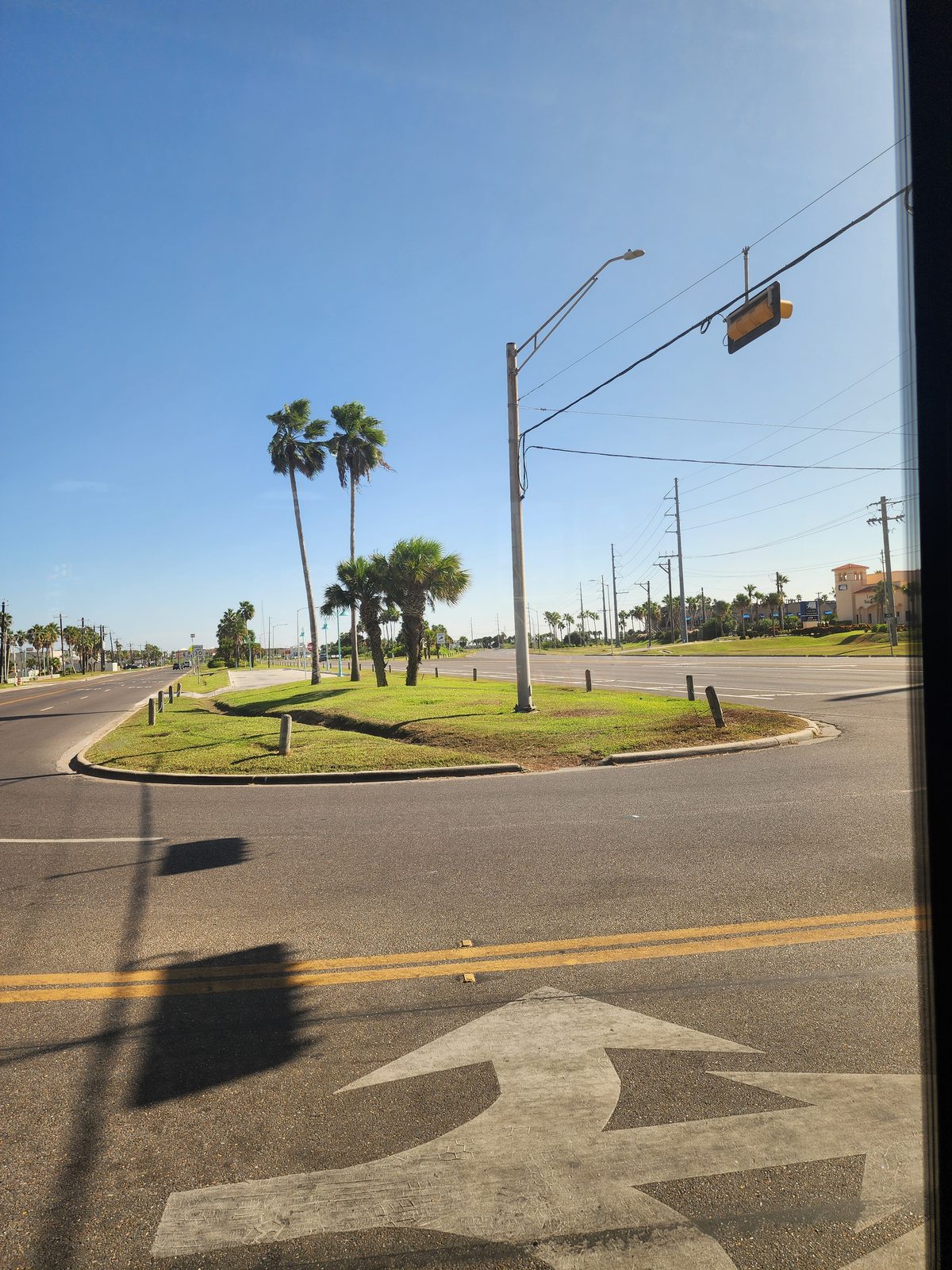 Palm-lined roadway and median seen through a vehicle window.