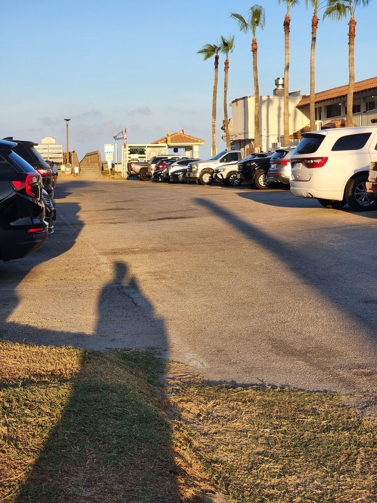 Cars parked in a palm-lined beach lot in low evening light, with a wooden walkover climbing over the dune at the far end.