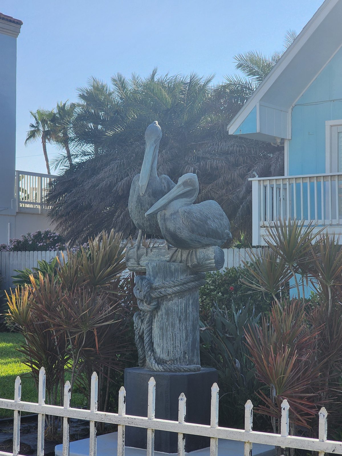 Two gray-green pelican statues perch on a rope-wrapped piling in a landscaped yard behind a white picket fence, with palms and houses behind.