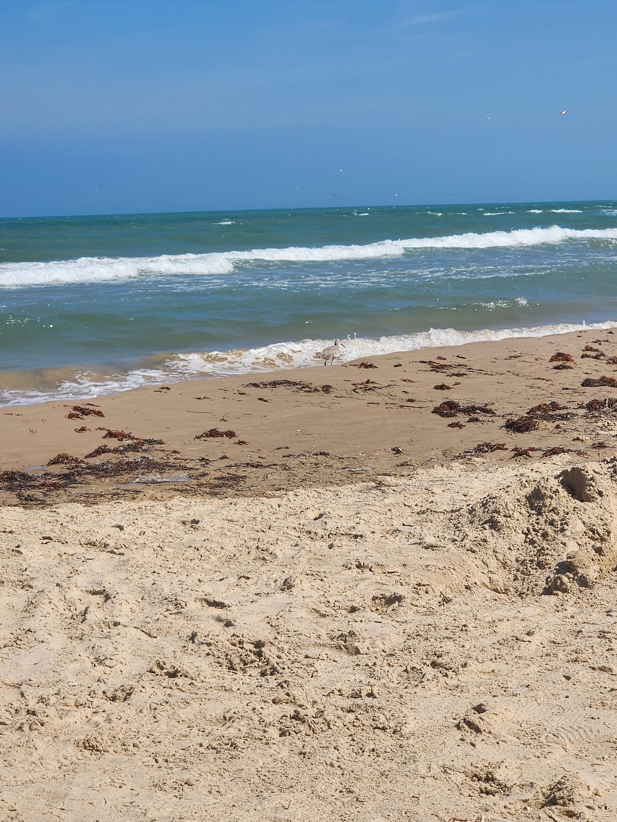 Low Gulf waves roll onto a sandy shoreline beneath a blue sky.
