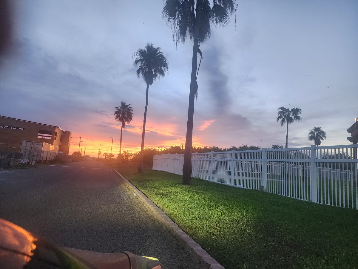 Palm trees silhouetted against a vivid orange and pink sunset sky, beside a white picket fence and green lawn along a paved lane.