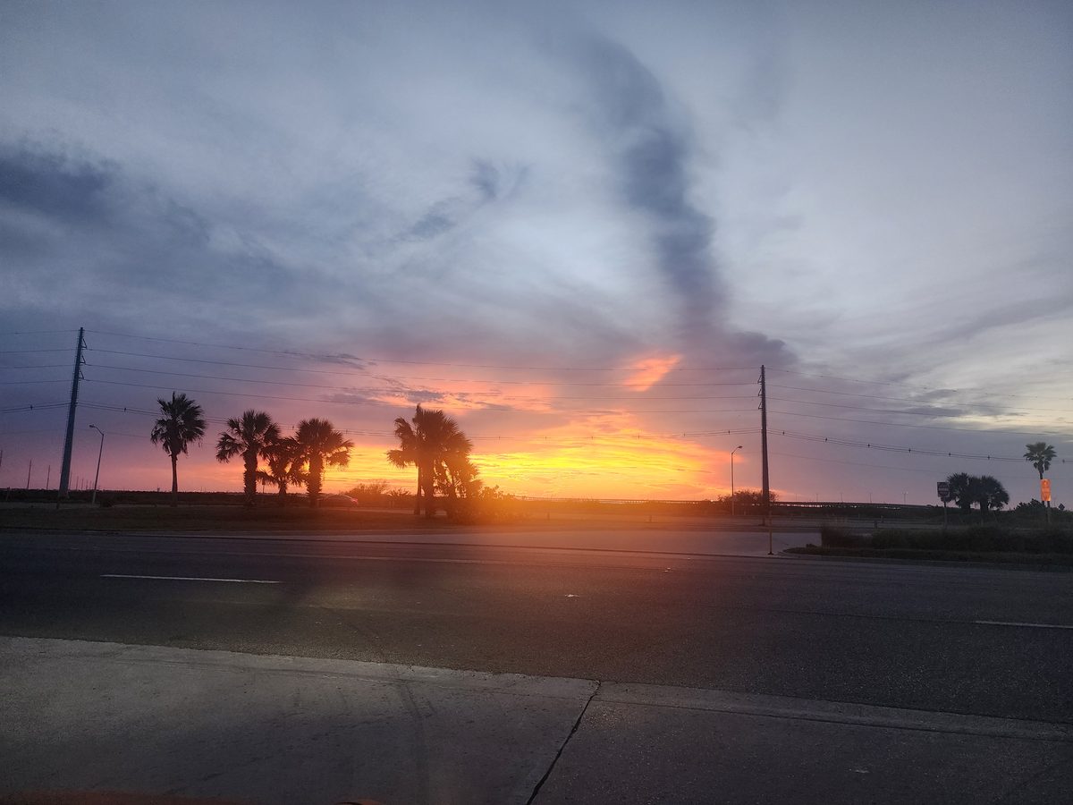 Orange sunset beyond a road, utility poles, and palm silhouettes.