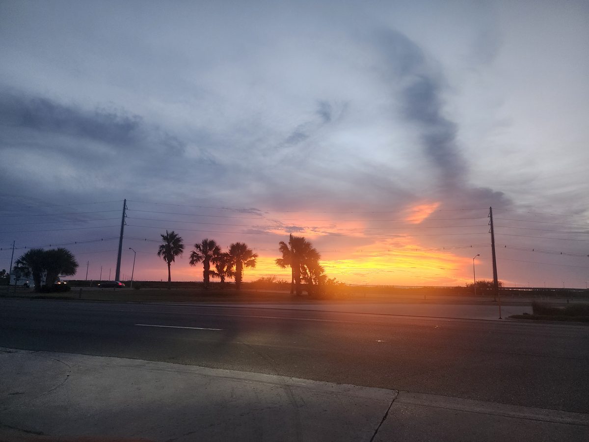 Palm silhouettes and a road beneath an orange sunset.