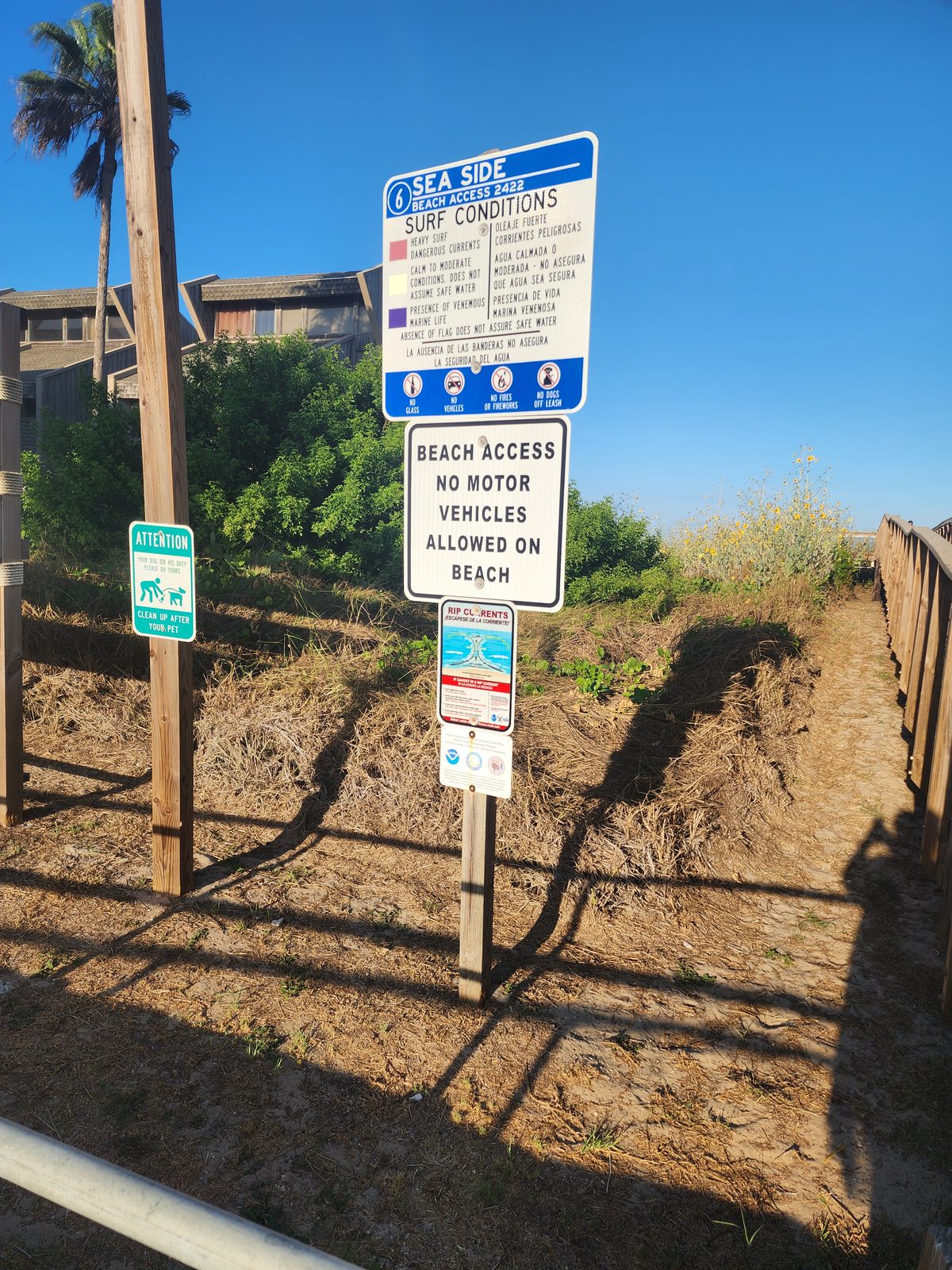Blue Sea Side Beach Access 6 sign with surf-flag legend, no-motor-vehicles and rip-current notices beside a sandy dune path and wooden railing