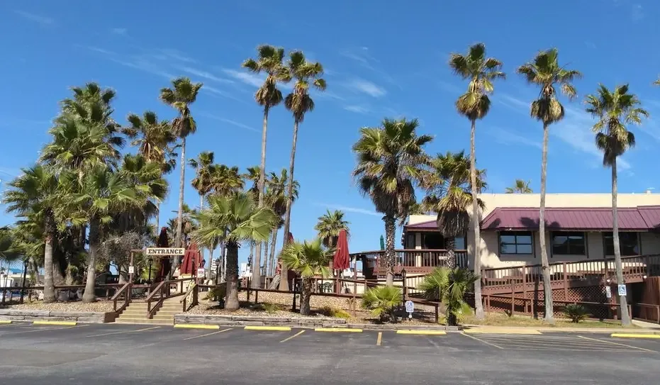 The restaurant's front with tall palm trees and the parking lot on a sunny day