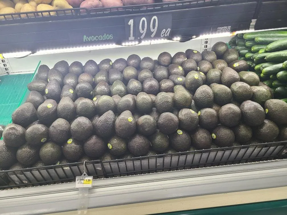 A case full of avocados