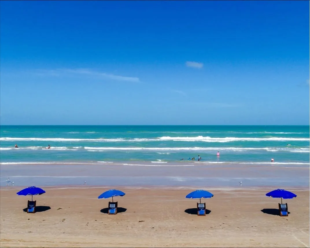 A row of blue beach umbrellas on the sand in front of turquoise surf