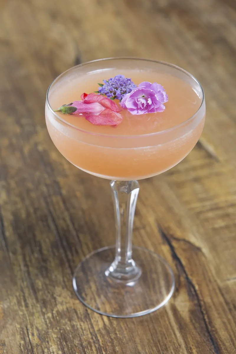 A pink cocktail in a coupe glass garnished with edible flowers