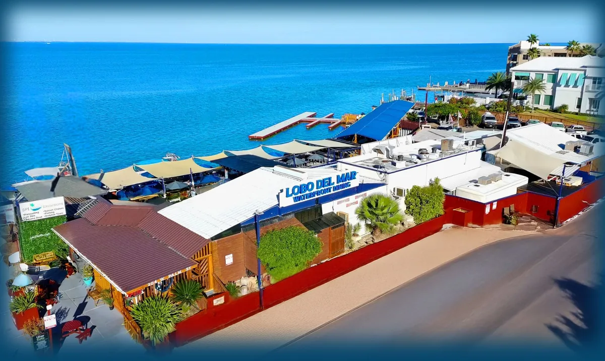 Aerial view of the Lobo Del Mar Waterfront Dining building on Palm Street, with its shaded decks and dock on the bay
