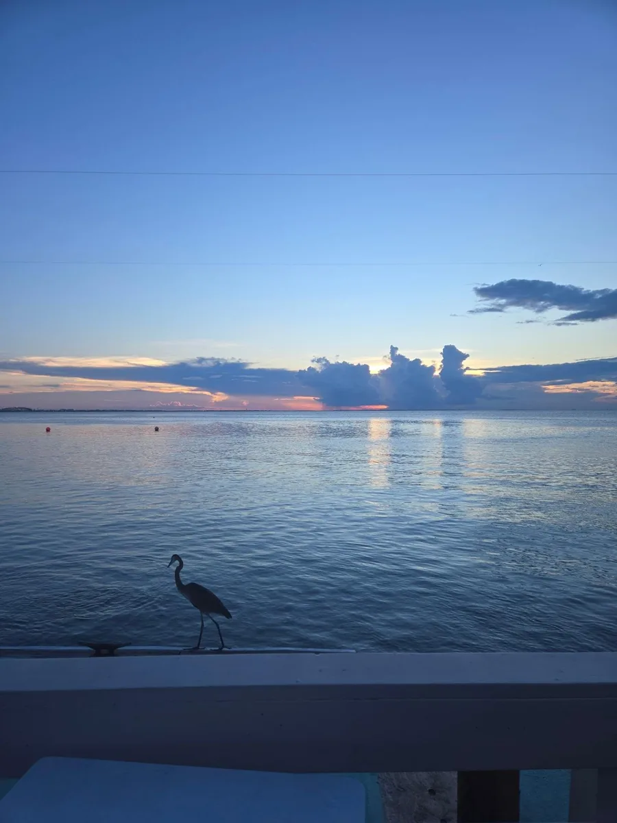 A heron on the dock rail at dusk, with calm water and clouds over the bay
