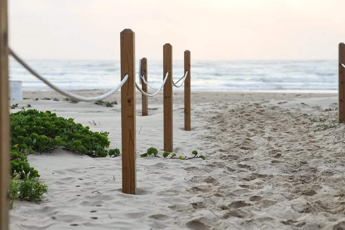 A sandy beach path lined with posts and rope leading to the Gulf