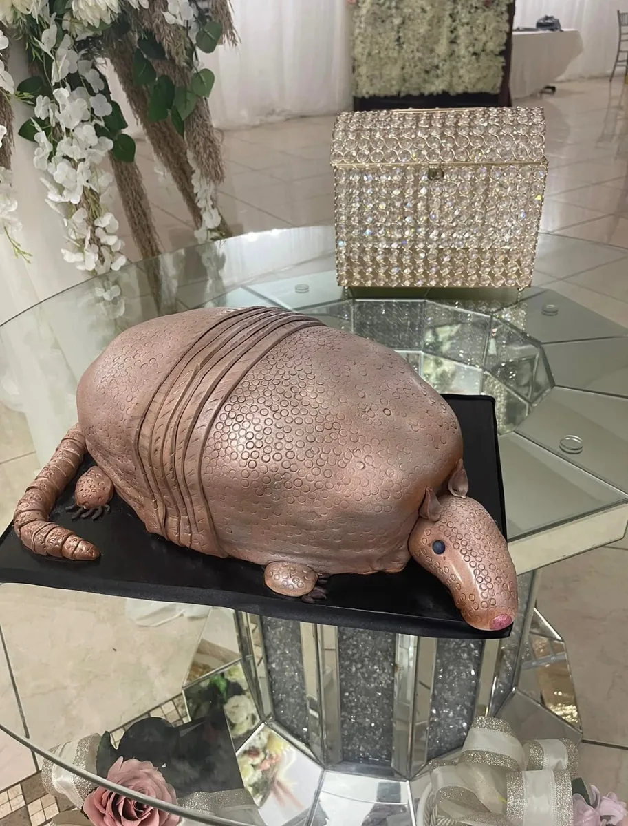 A cake sculpted as a life-size armadillo on a black board